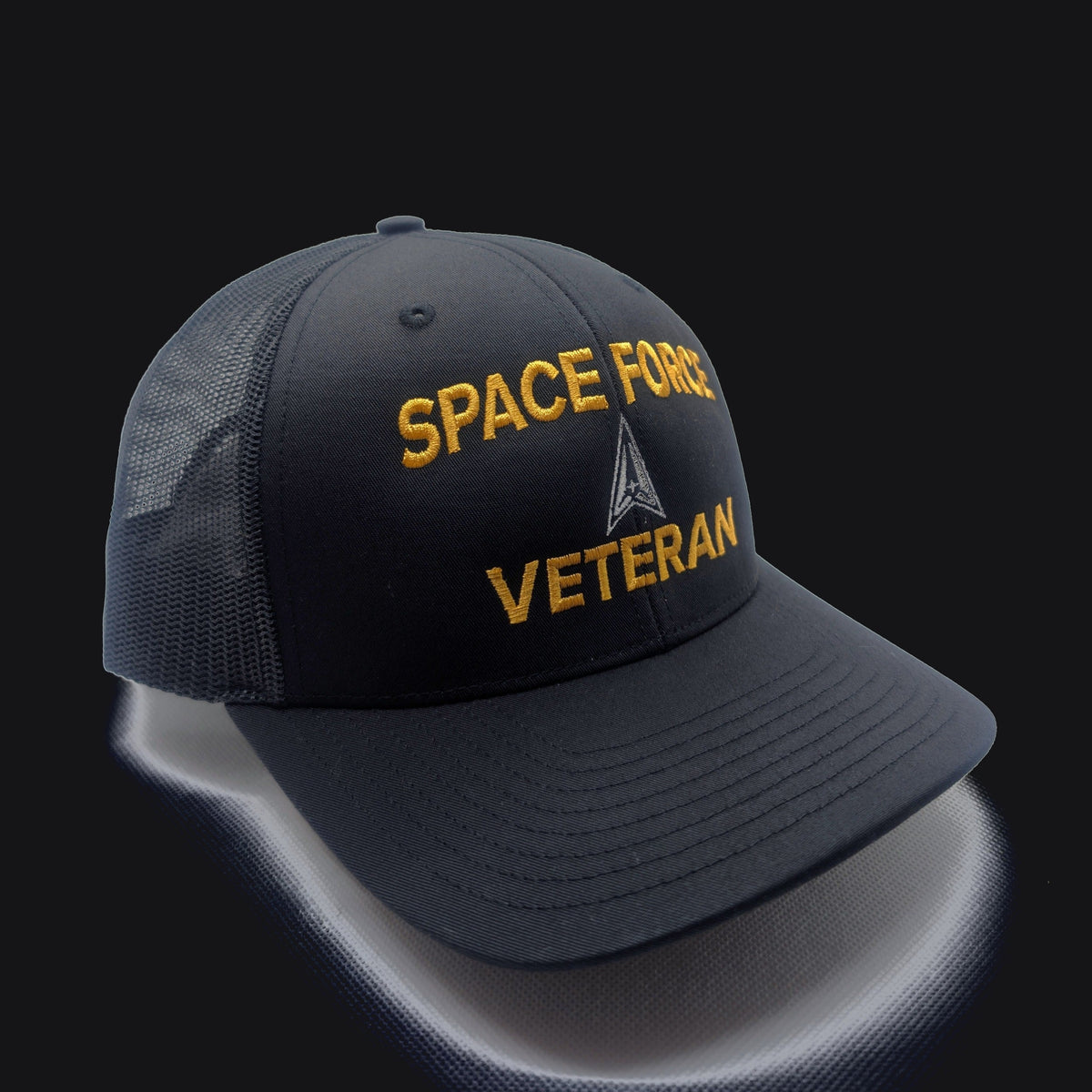 Space Force Veteran Hat, angled view